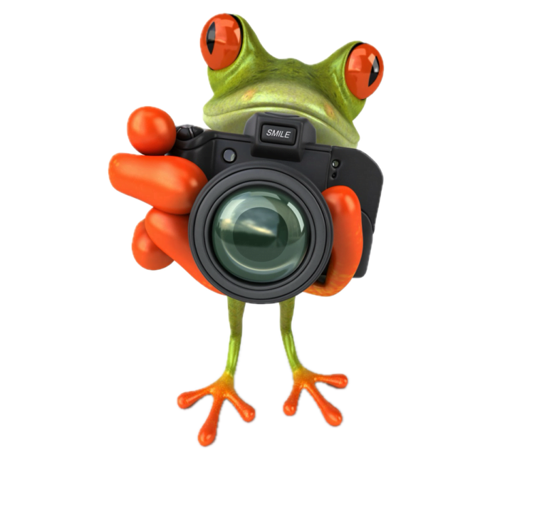 Ein Cartoon-Frosch mit leuchtend orangefarbenen Augen und F&uuml;&szlig;en h&auml;lt eine gro&szlig;e Kamera in der Hand, als w&uuml;rde er ein Foto f&uuml;r eine virtuelle Fotobox schie&szlig;en. Der Frosch steht aufrecht auf seinen Hinterbeinen vor einem schlichten wei&szlig;en Hintergrund.