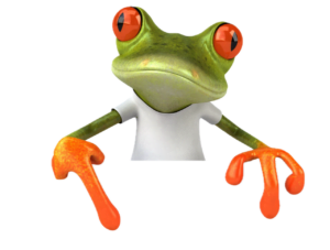 Ein gr&uuml;ner Cartoon-Frosch mit gro&szlig;en roten Augen und orangefarbenen Schwimmh&auml;uten, der ein wei&szlig;es T-Shirt tr&auml;gt und mit erhobenen H&auml;nden nach vorne schaut. Der Hintergrund ist einfarbig wei&szlig;.